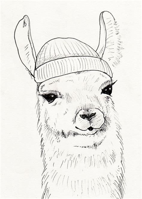 Llama In A Hat Fine Liner Pen Sketch Ink Drawing Techniques Pen Art