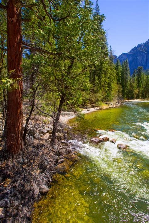 Yosemite National Park Merced River In California Stock Photo Image