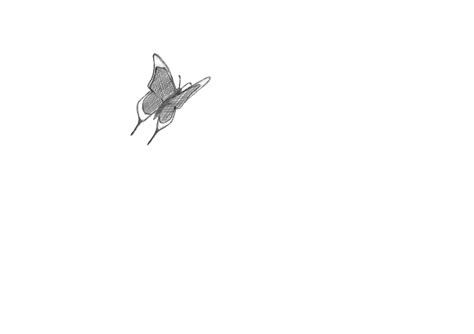 Butterfly Animated  Transparent Animated Butterfly  Animations