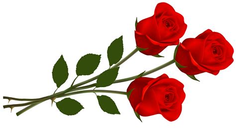 Free Png Rose Clipart Best