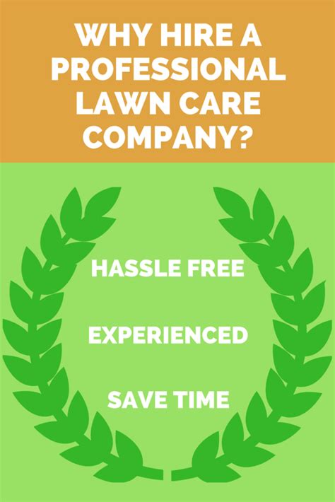 Why Hire A Professional Lawn Care Company Lawn Service Houston