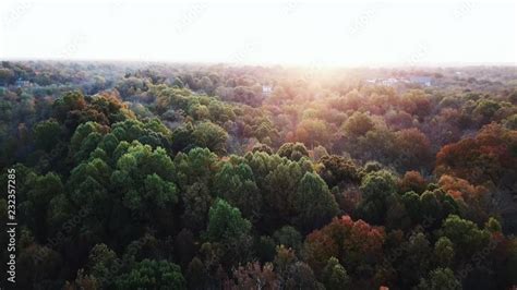Flying Above The Stunning Colorful Treetops In Louisville With Leaves