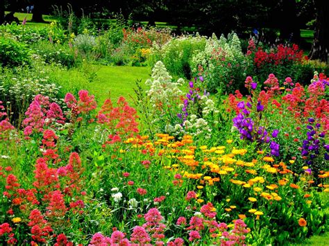 176 Beautiful Botanical Gardens Around The World Infinite World Wonders