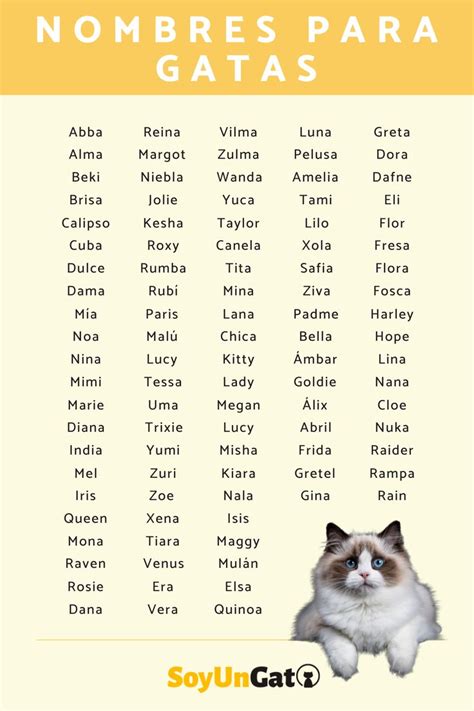 Nombres Para Gatas Hembras Nombres Para Gatas Nombres Para Gatos