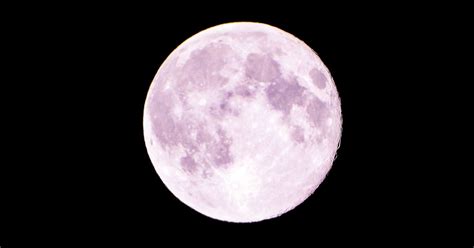 The first supermoon of the year will arrive around 11:33 p.m. Pink moon tonight: Here's when you could see the April ...