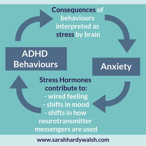Adhd And Anxiety In Kids • Pickle Planet Moncton