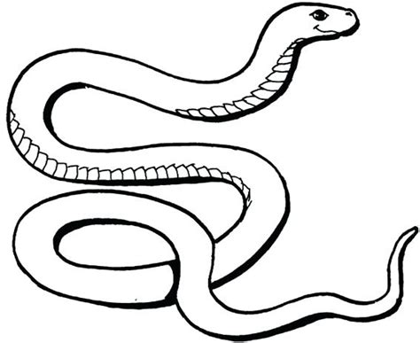 Wild animal coloring pages are a wonderful way for your children to learn about the world. Rainforest Drawing For Kids | Free download on ClipArtMag