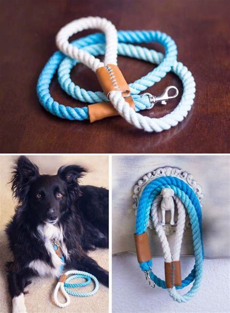 Quirky Fancy Dogs Accessories Dogsofinstaworld Dogstuffyouneed