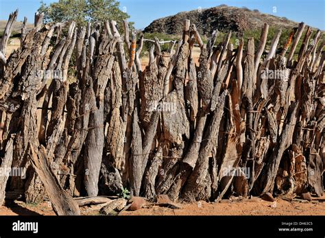 Himba Kraal Fence Hi Res Stock Photography And Images Alamy