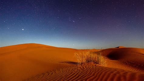 Download Wallpaper 2560x1440 Dunes Desert Sands Grass Night Starry