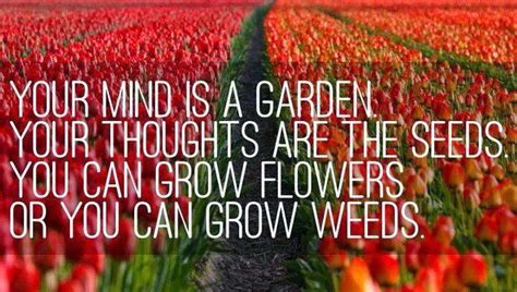 Inspira Smiles Your Mind Is A Garden