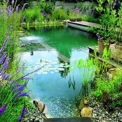 Fabriquer Soi Même Une Piscine Naturelle Et écologique Piscine