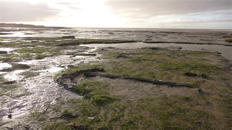 Hightown Submerged Forest Ancient Trackway The Modern