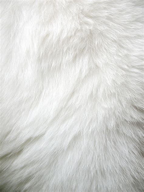 32 White Fur Wallpaper
