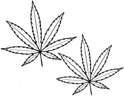 Pot Leaf Drawing Step By Step Free Download On Clipartmag