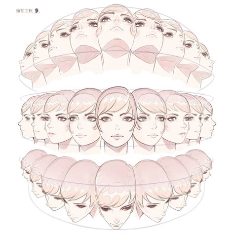 Anime Head Angles Drawing Hope It Ll Be Helpful And You Ll Draw
