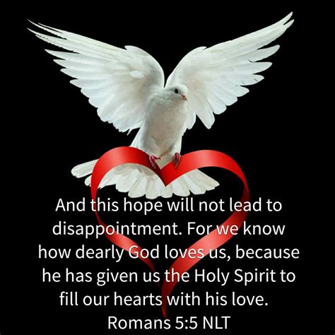 Time Heals All Wounds, Life Partners, Star Sky, Grieve, Your Voice