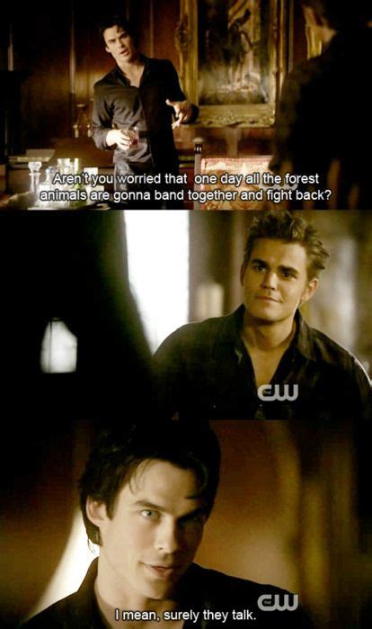 Animals Damon Diaries Fight Funny Stefan Inspiring Picture On