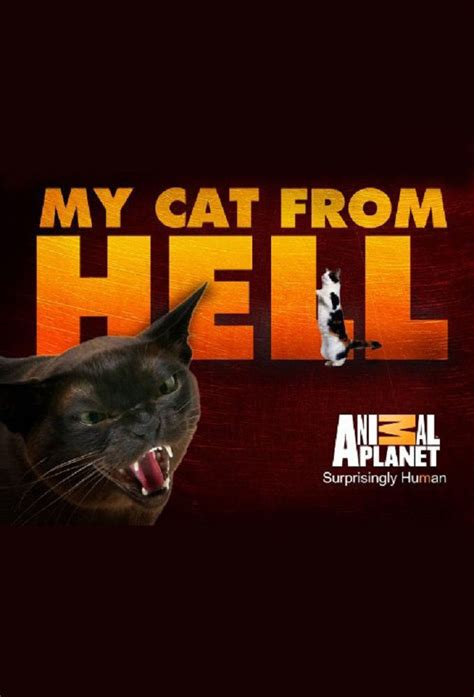 My Cat From Hell Tvmaze