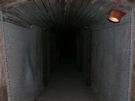 The Mine Shaft Actually At Some Museum In Zeehan I Thi Elliot