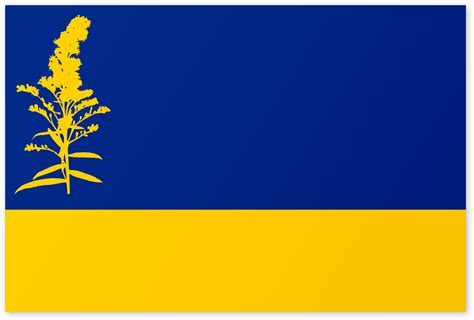Redesign 101 The Flag Of Nebraska — Steve Lovelace