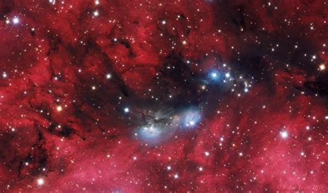 Astronomy Daily Picture For August 30 The Ngc 6914 Complex Daily