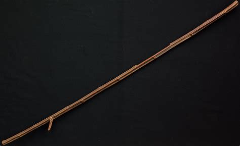 Which Turkish museum has Moses staff?