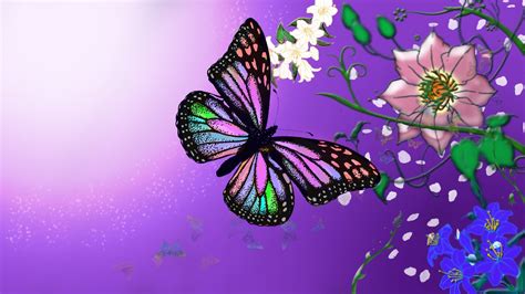 Purple Butterfly Wallpaper Wallpapersafari