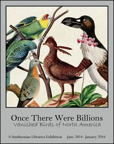 Once There Were Billions Extinct Birds Extinct Animals Great Auk