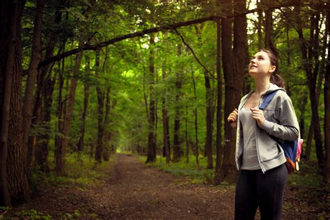 Bergen County Nature Guide: Hiking Trails, Serene Escapes, and Hidden Gems