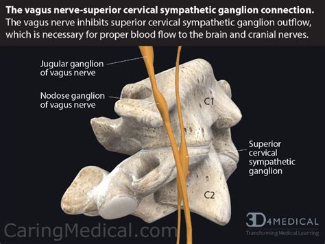 Treating Neurologic Like Symptoms By Addressing Cervical Spine