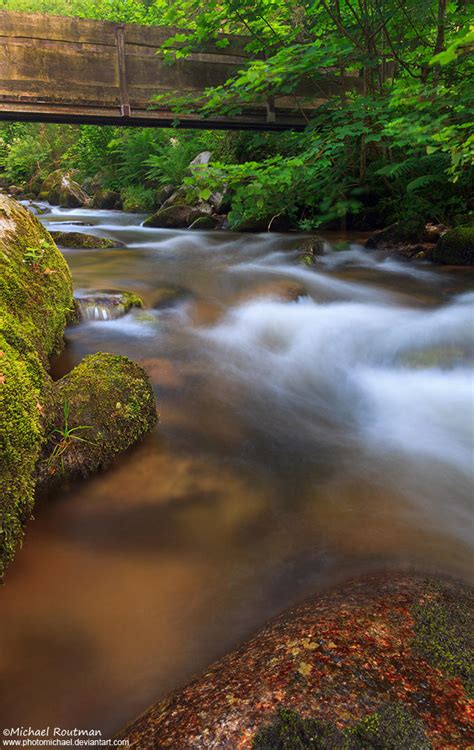 Black Forest Stream By Photomichael On Deviantart