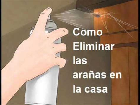 Remedio casero para abortar en casa durante las 7 primeras semanas de embarazo no deseado. Como Eliminar las arañas en tu casa - YouTube