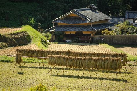 Jeffrey Friedls Blog Photos Of Farming In Japan For Captain Bill