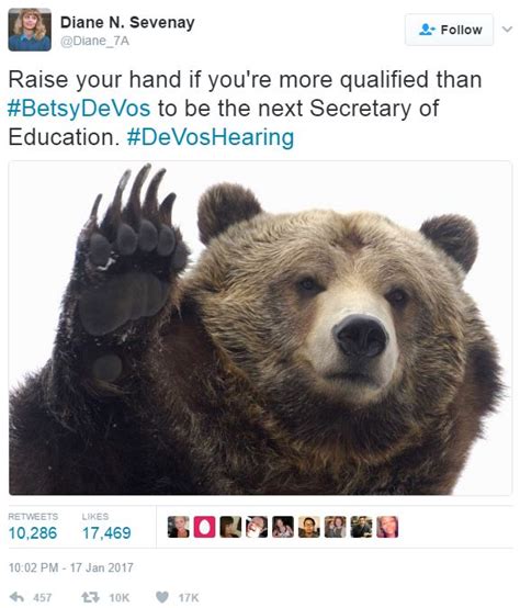 19 Hilarious Grizzly Bear Meme Images And Pictures Memesboy