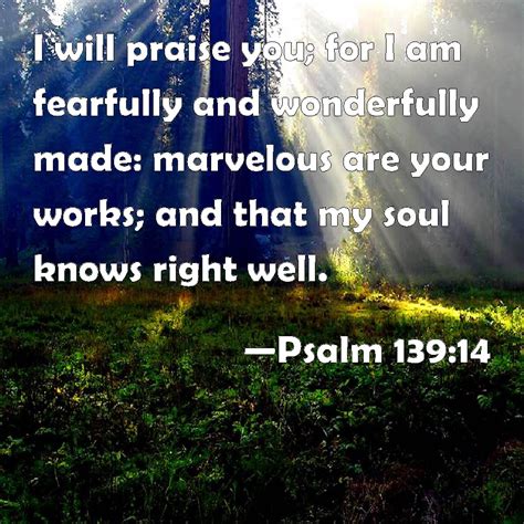 Psalm I Will Praise You For I Am Fearfully And Wonderfully Made