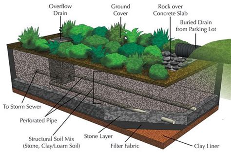 Percolation Pit For Storm Runoff Cu Structural Soil Infiltration