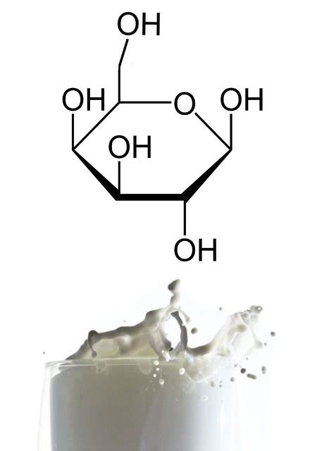 Carbohydrate Chemistry — Stemgeeks