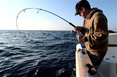 ¡ojo Diferencias Entre Pesca De Spinning Y Casting