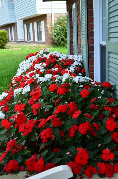 15 Best Ideas To Create Your Front Home Beautiful With Flower Beds