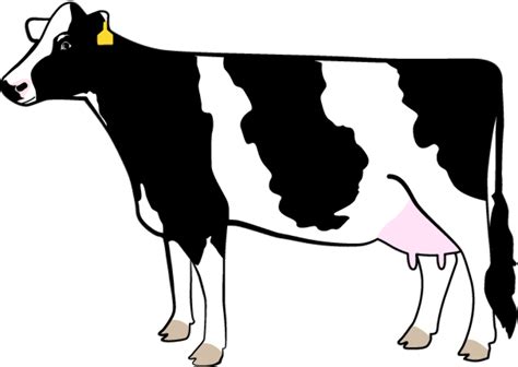 Find images of holstein kiel. Download High Quality cow clipart black and white holstein Transparent PNG Images - Art Prim ...