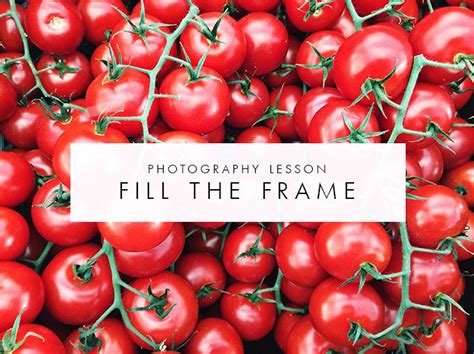 Photography Lesson Fill The Frame Fat Mum Slim