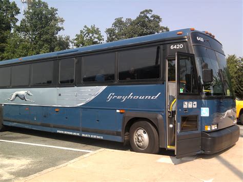 1) What were the critical incidents in Greyhound’s growth and - WriteWork