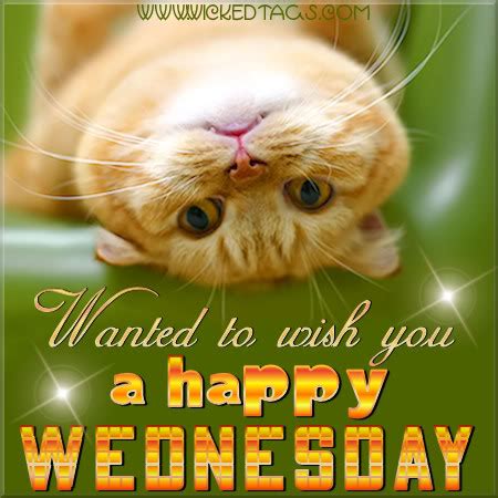 Jun 02, 2021 · unfriending is a funny thing on the international day of friendship the gocomics team. George's Journal: Hump Day...Woo Hoo