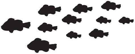 20 high quality group of fish clipart png in different resolutions. Fishes Silhouette PNG Clip Art Image | Gallery ...