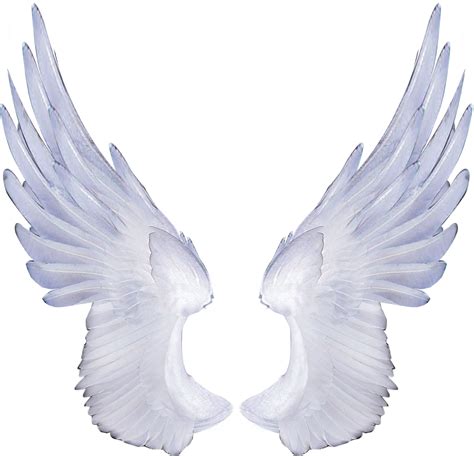 Wings Png Wings Transparent Background Freeiconspng