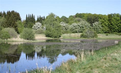 Rennerod ist gemäß landesplanung als grundzentrum ausgewiesen. Naturerbefläche oberhalb des Wäller-Parks hat sich positiv ...
