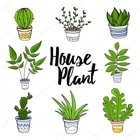 House plants hand draw set. — Stock Vector © Villis #124107966 Our editor is simple enough for new users to get results fast but also powerful enough for advanced users to be more.