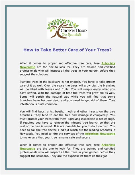 How To Take Better Care Of Your Trees By Chop N Drop Trees Issuu