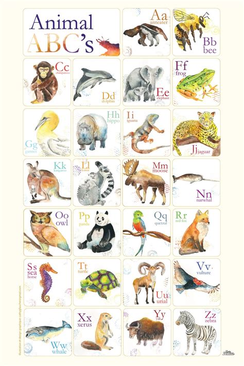Q · kjuː, « kiu » ; Abécédaire des animaux en anglais affiche Cathy Faucher | Etsy